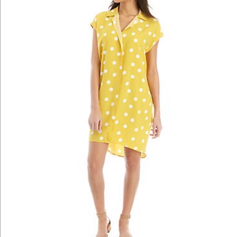 Madison Polka dot Shirt dress
